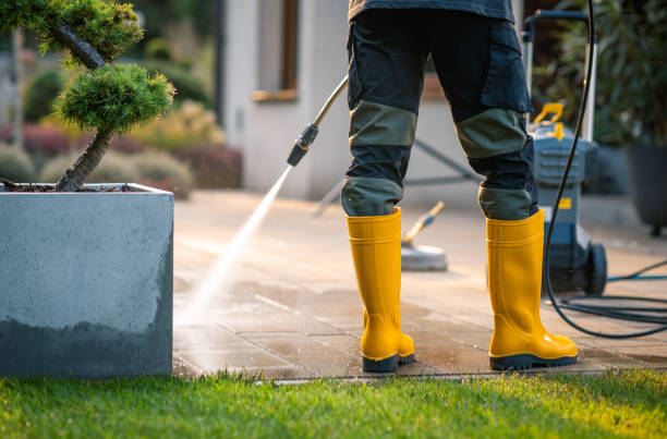Best Power Washing Near Me  in Collierville, CA